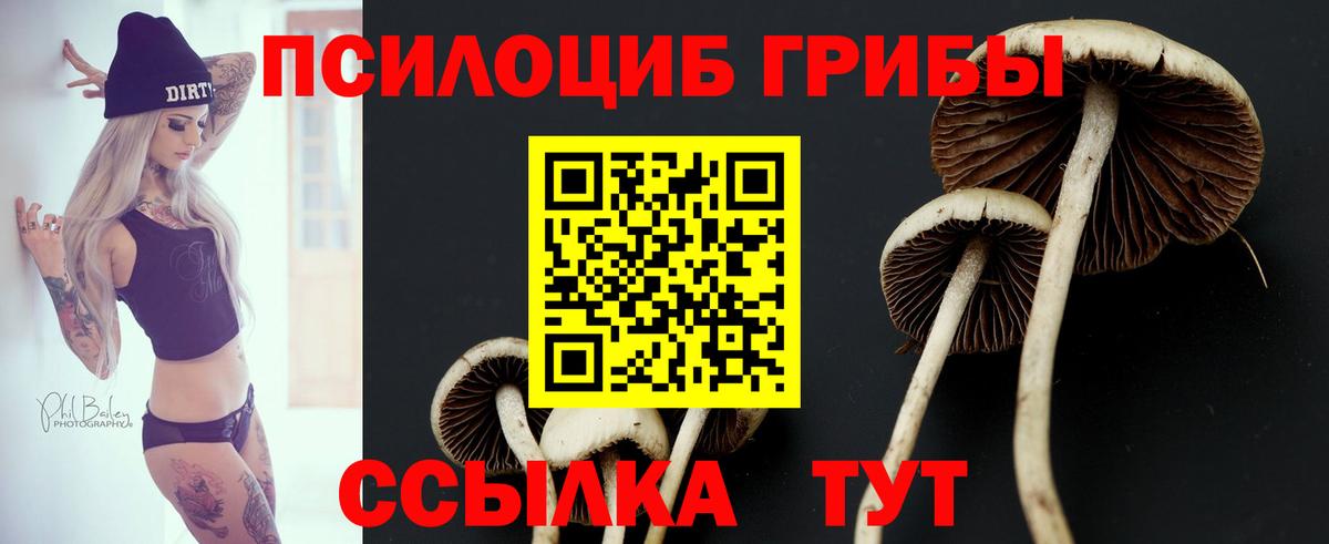 Псилоцибиновые грибы Cubensis  Вход с VPN  Муравленко 