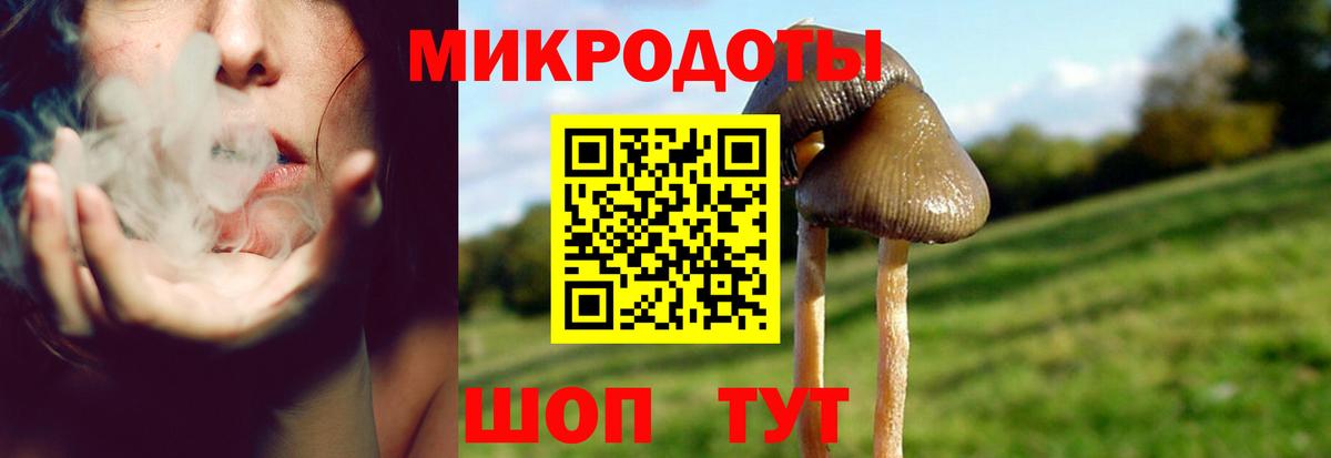 Псилоцибиновые грибы прущие грибы Муравленко